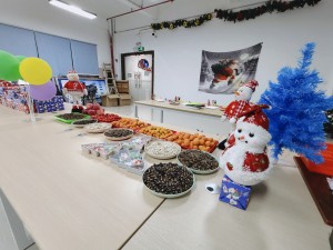 “多國風采、別具風格”的的圣誕節(jié)活動